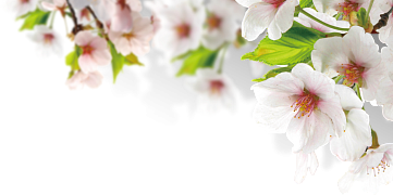 График работы на майские праздники